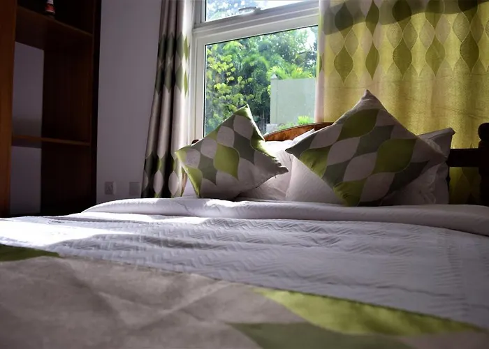 Kaktus *